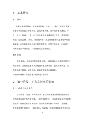 苹果策划书