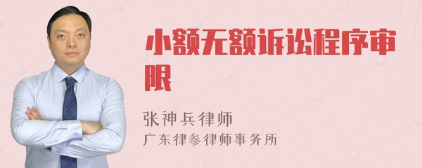 小额诉讼程序审限