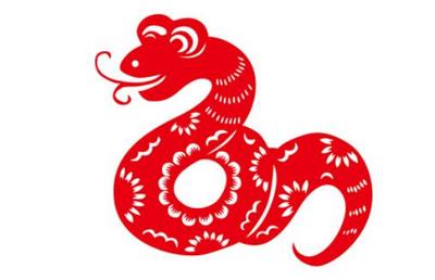 属蛇的人是什么星座