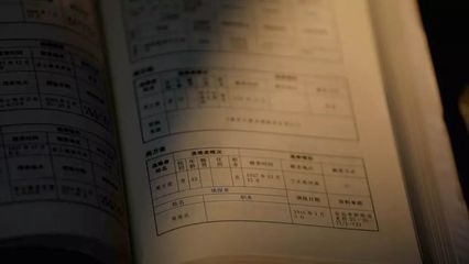 算命 名字