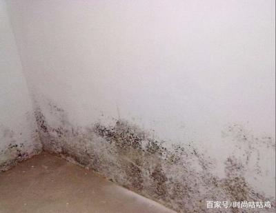 家里墙壁发霉怎么办