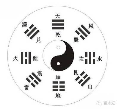 枫属于五行属什么