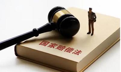 诉讼方