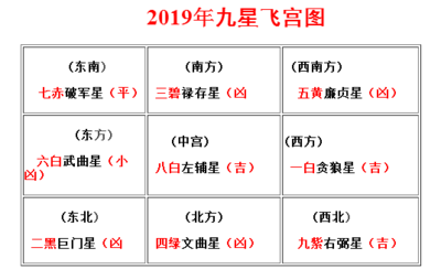 2019猪五行属什么