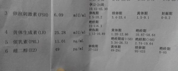 卵泡期 排卵期