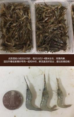 孕妇可以吃青虾吗