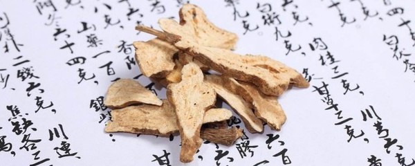 白术泡水喝有什么功效