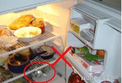 哪些食物不能放冰箱