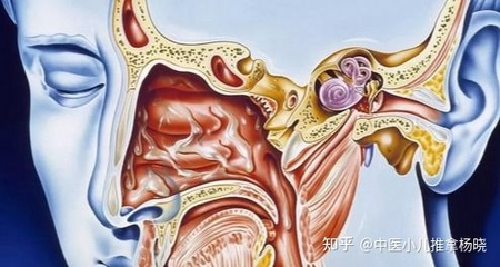 鼻后滴漏咳嗽特点