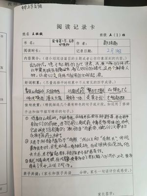 实践作业记录怎么写