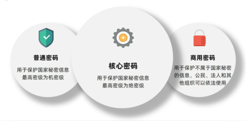 法人属于什么部门