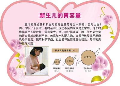新生儿胃图片