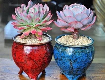 怎样用塑料瓶子做花盆