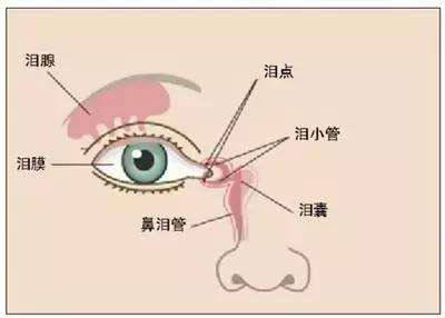 新生儿泪道堵塞的症状