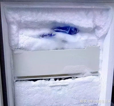 冰箱如何不结冰