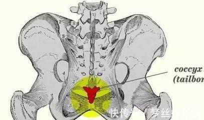 尾巴骨大是怎么回事啊