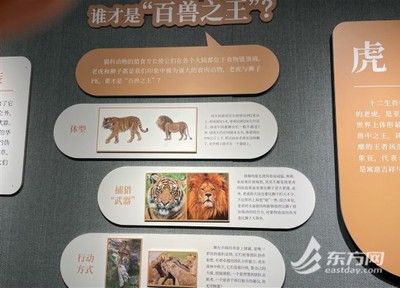 寻是什么生肖