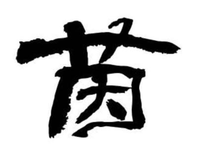 茵的寓意