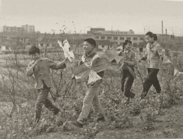 动态老照片