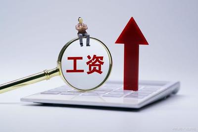公司股东如何分红