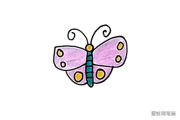 美丽的小蝴蝶怎么画