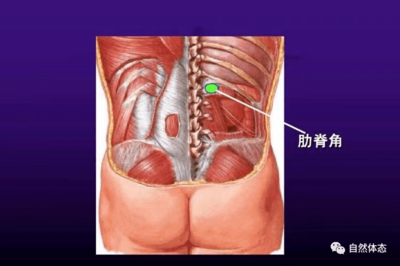侧腹部疼是怎么回事