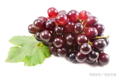 咳嗽吃葡萄可以吗