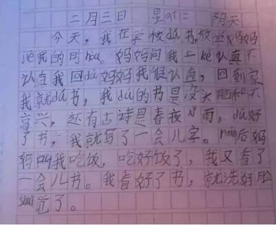 我怎么我就怎样作文400字