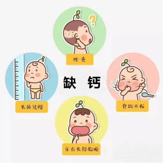 一周岁宝宝缺钙的表现
