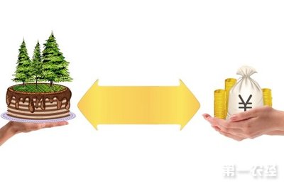 林权抵押贷款