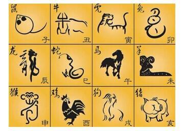你的属相是什么