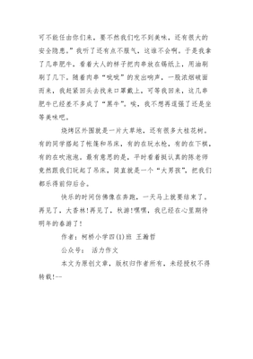 山水之寓作文怎么写