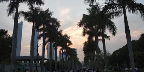 土豆地雷的制作方法
