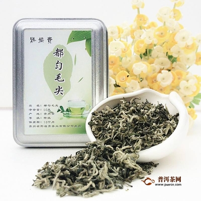 毛尖怎么分辨好坏