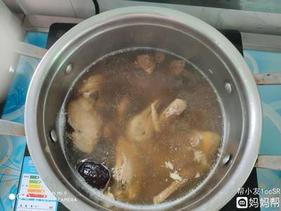 一岁宝宝可以吃鸽子汤吗
