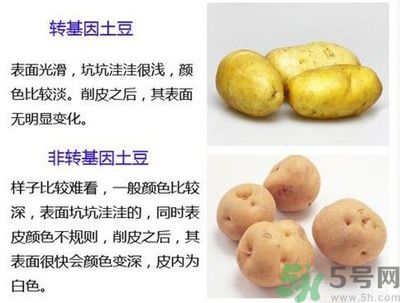转基因土豆能吃吗