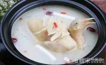 月子吃鸽子会回奶吗