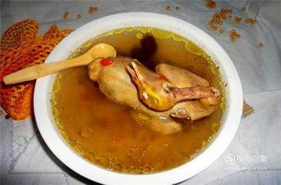 怀孕能不能吃鸽子汤