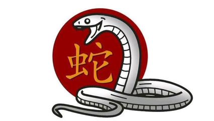 蛇字五行属什么