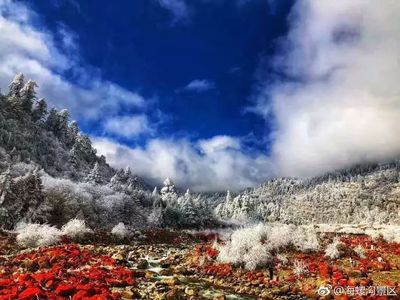 成都冬季景点攻略