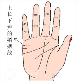 婚姻线一长一短