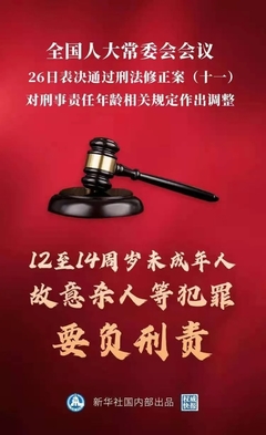 刑法修正案九新增罪名