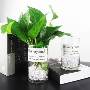 室内水养植物