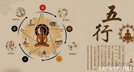 2003年属什么生肖五行