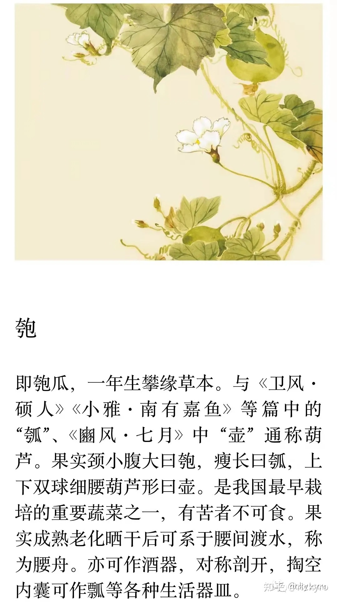 诗经中好听的字