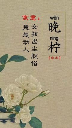 女孩名字晚柠