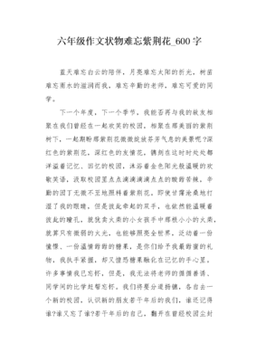 紫荆花作文500字