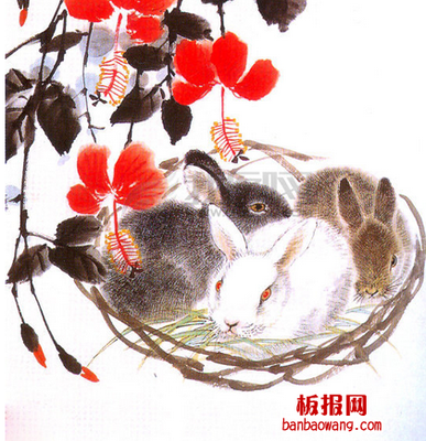 87年属兔今年多大