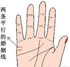 左手断掌的男人命运