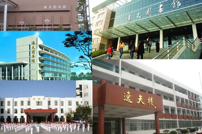 学校体育馆取名